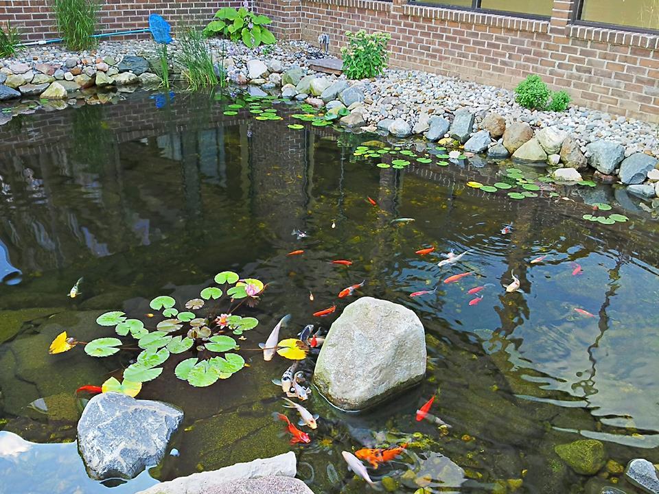 堤道湾酒店 兰辛 外观 照片