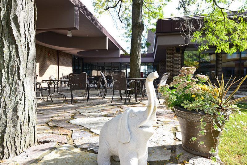 堤道湾酒店 兰辛 餐厅 照片